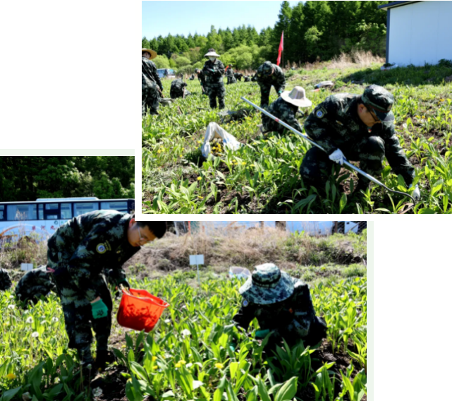 永盈会·[中国]官方网站