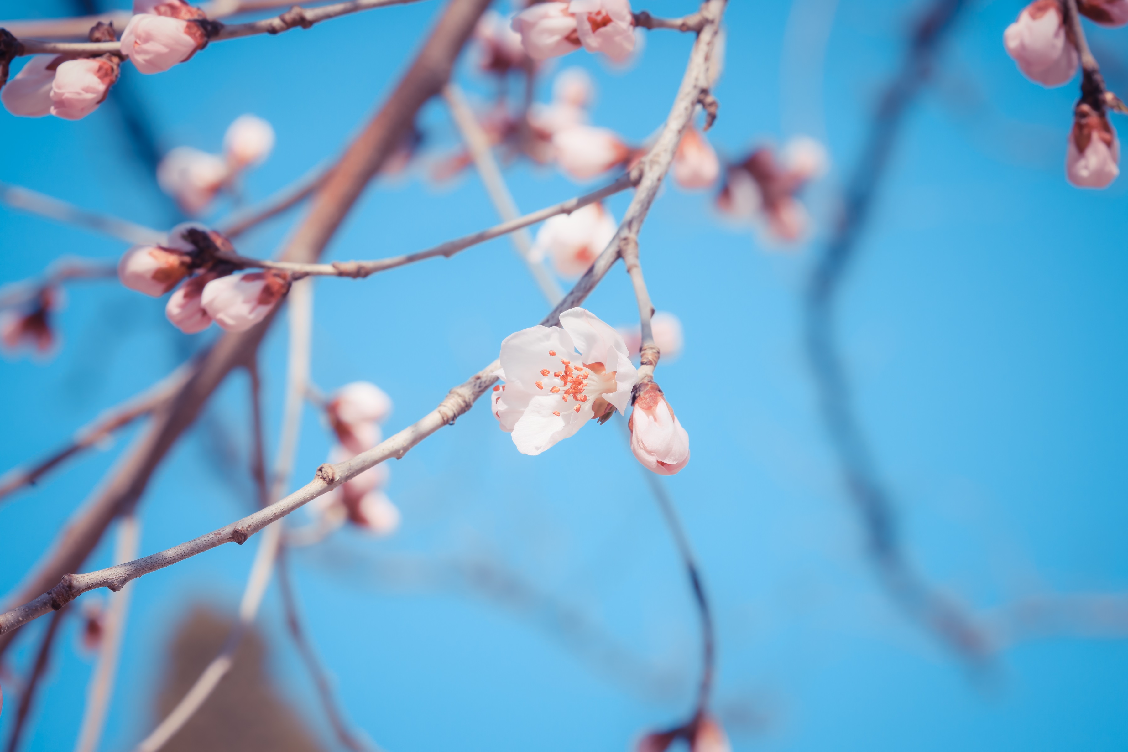 云顶集团·(中国)手机版app下载