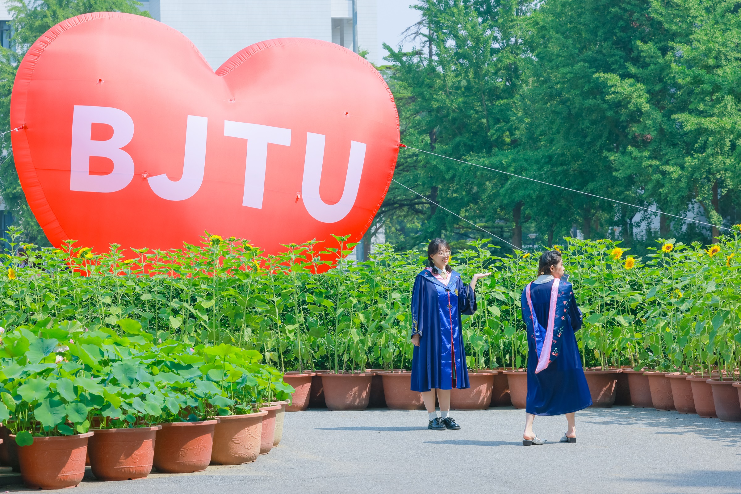 云顶集团·(中国)手机版app下载