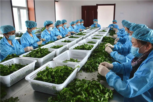 永盈会·[中国]官方网站