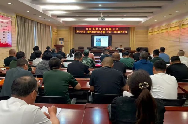 永盈会·[中国]官方网站