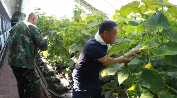 永盈会·[中国]官方网站