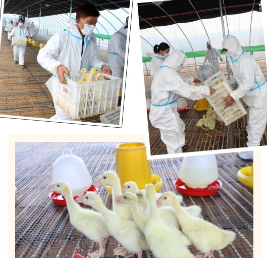 永盈会·[中国]官方网站