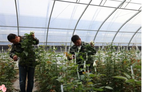 永盈会·[中国]官方网站
