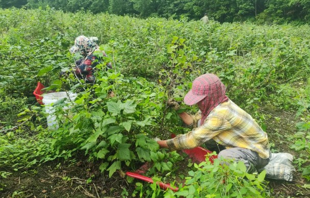永盈会·[中国]官方网站