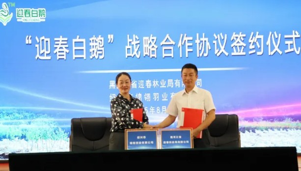 永盈会·[中国]官方网站