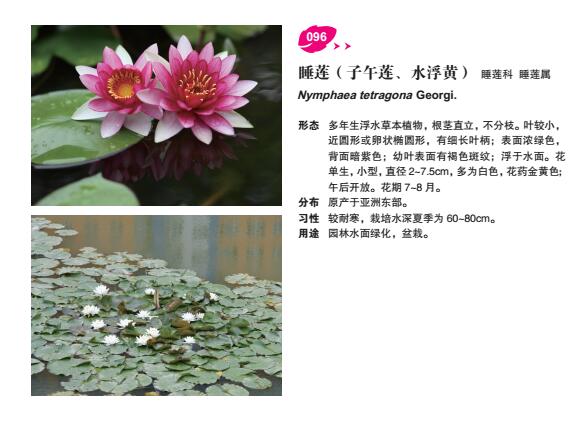 永盈会·[中国]官方网站