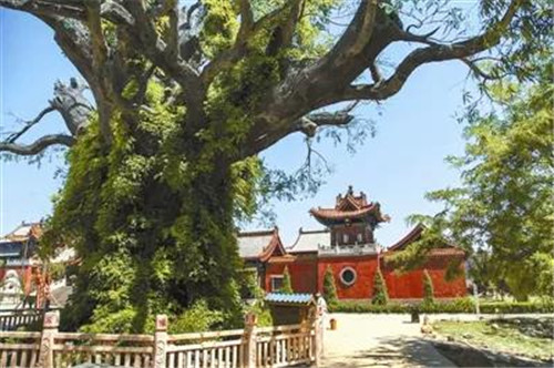 永盈会·[中国]官方网站