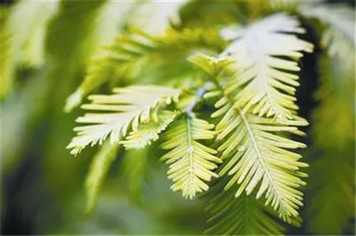 永盈会·[中国]官方网站