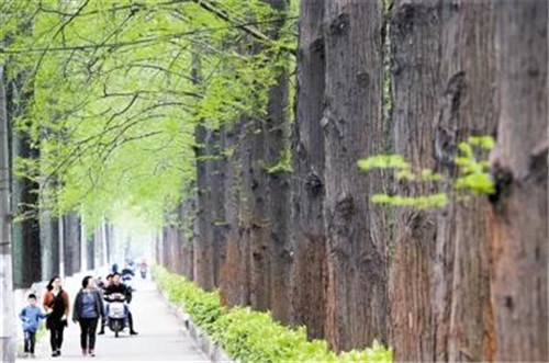 永盈会·[中国]官方网站