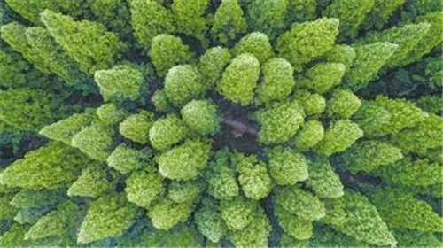 永盈会·[中国]官方网站