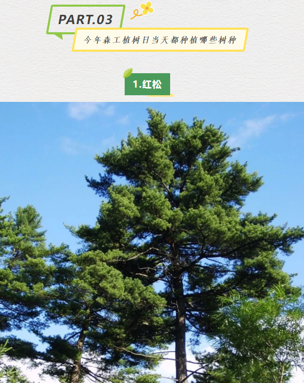 永盈会·[中国]官方网站