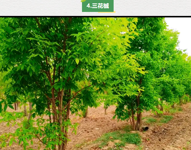 永盈会·[中国]官方网站