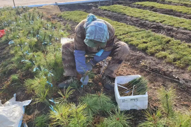 永盈会·[中国]官方网站