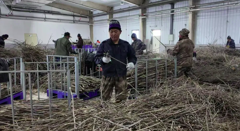 永盈会·[中国]官方网站