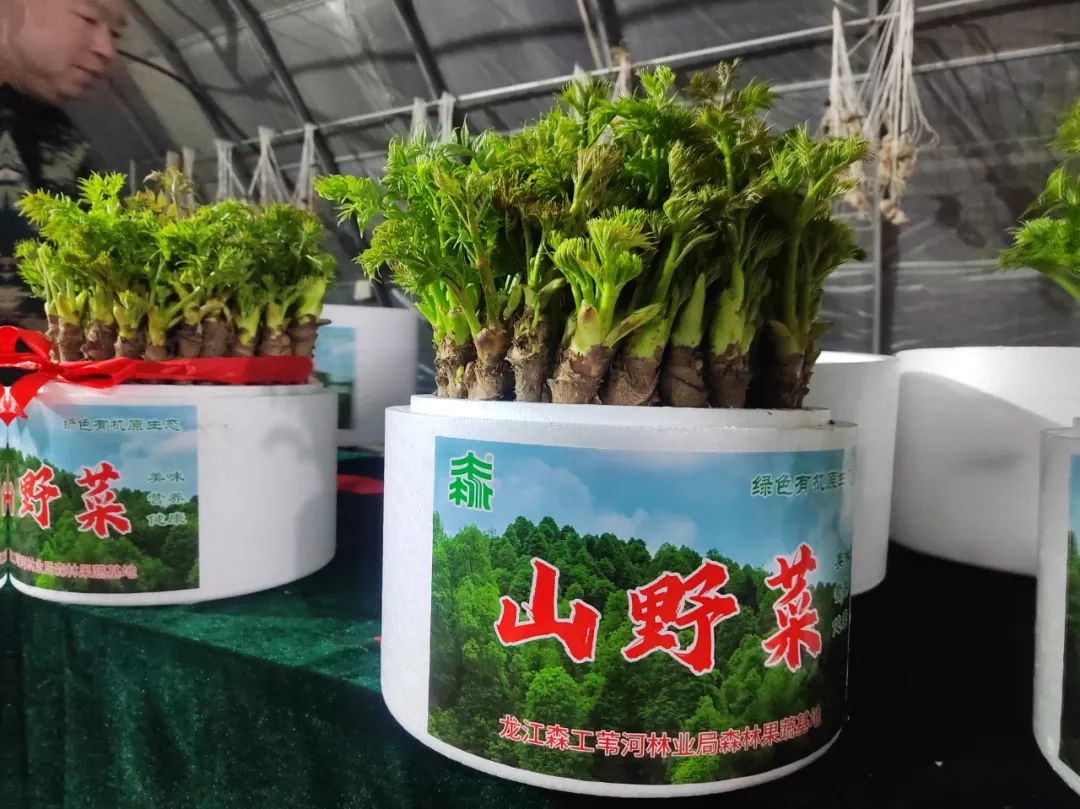 永盈会·[中国]官方网站