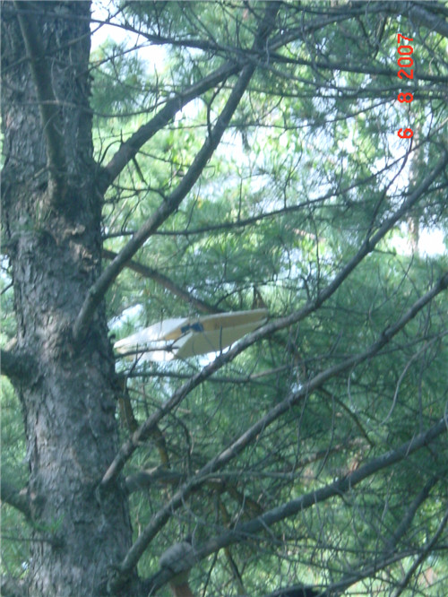 永盈会·[中国]官方网站