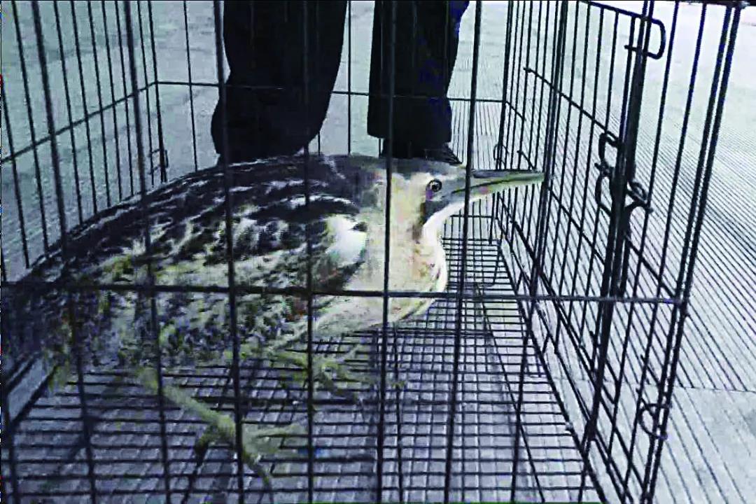 永盈会·[中国]官方网站