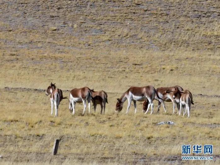永盈会·[中国]官方网站