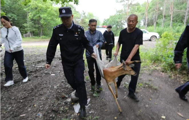 永盈会·[中国]官方网站