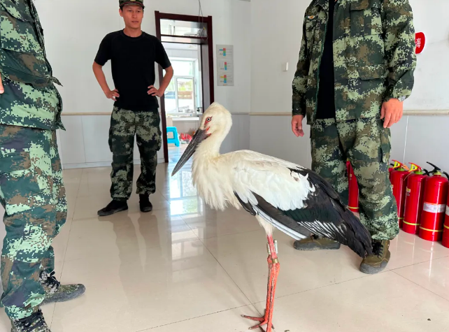 永盈会·[中国]官方网站