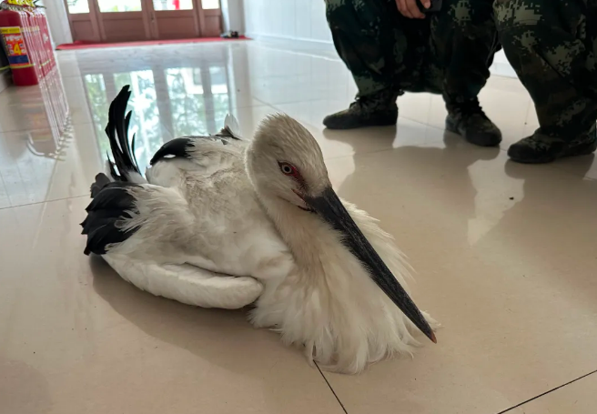 永盈会·[中国]官方网站