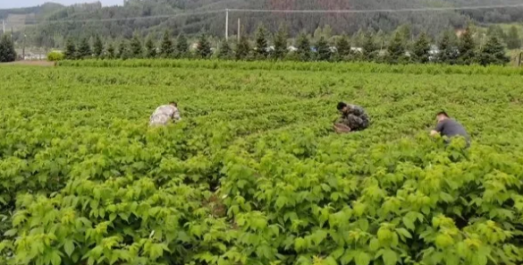 永盈会·[中国]官方网站