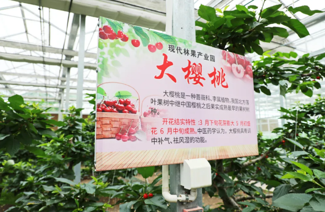 永盈会·[中国]官方网站