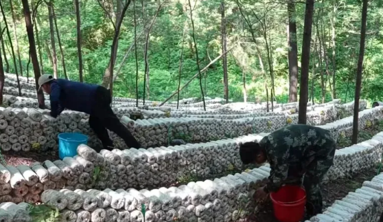 永盈会·[中国]官方网站