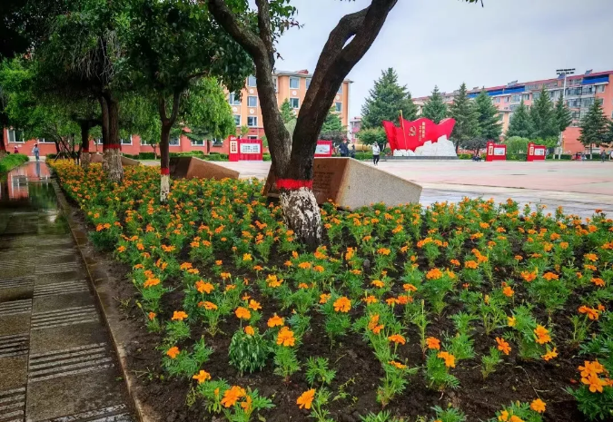 永盈会·[中国]官方网站