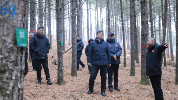 永盈会·[中国]官方网站
