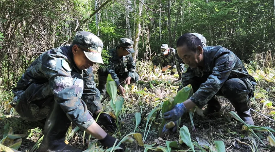 永盈会·[中国]官方网站