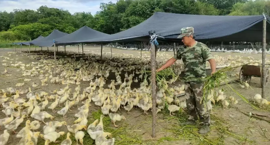永盈会·[中国]官方网站