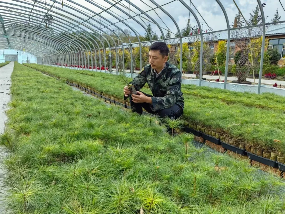 永盈会·[中国]官方网站
