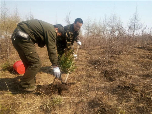 永盈会·[中国]官方网站