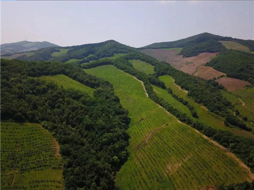 永盈会·[中国]官方网站