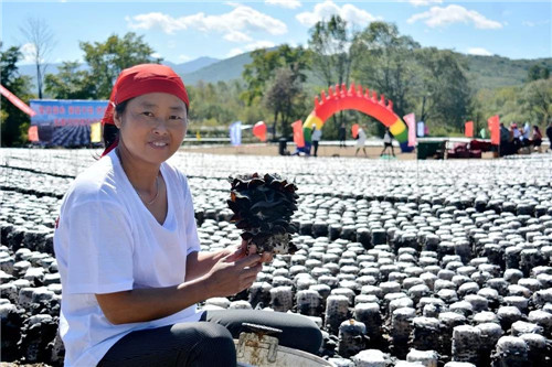 永盈会·[中国]官方网站