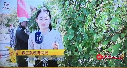 永盈会·[中国]官方网站