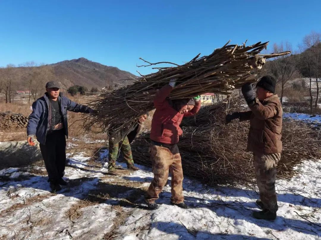 永盈会·[中国]官方网站
